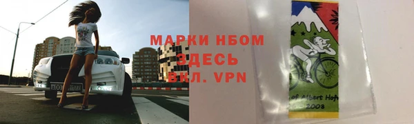 PSILOCYBIN Аркадак