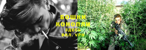 PSILOCYBIN Аркадак